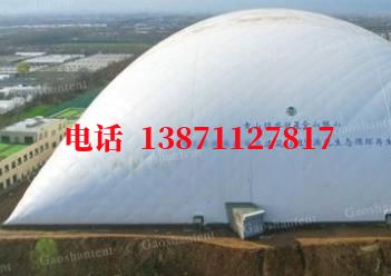 大安镇气膜棚卷帘门,电动门